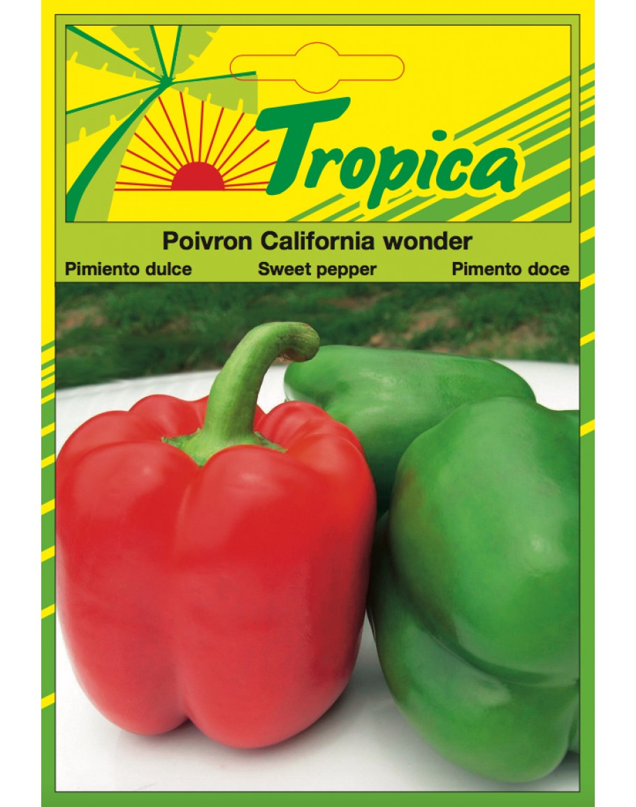 Sweet Pepper (California Wonder) Seeds By Tropica
